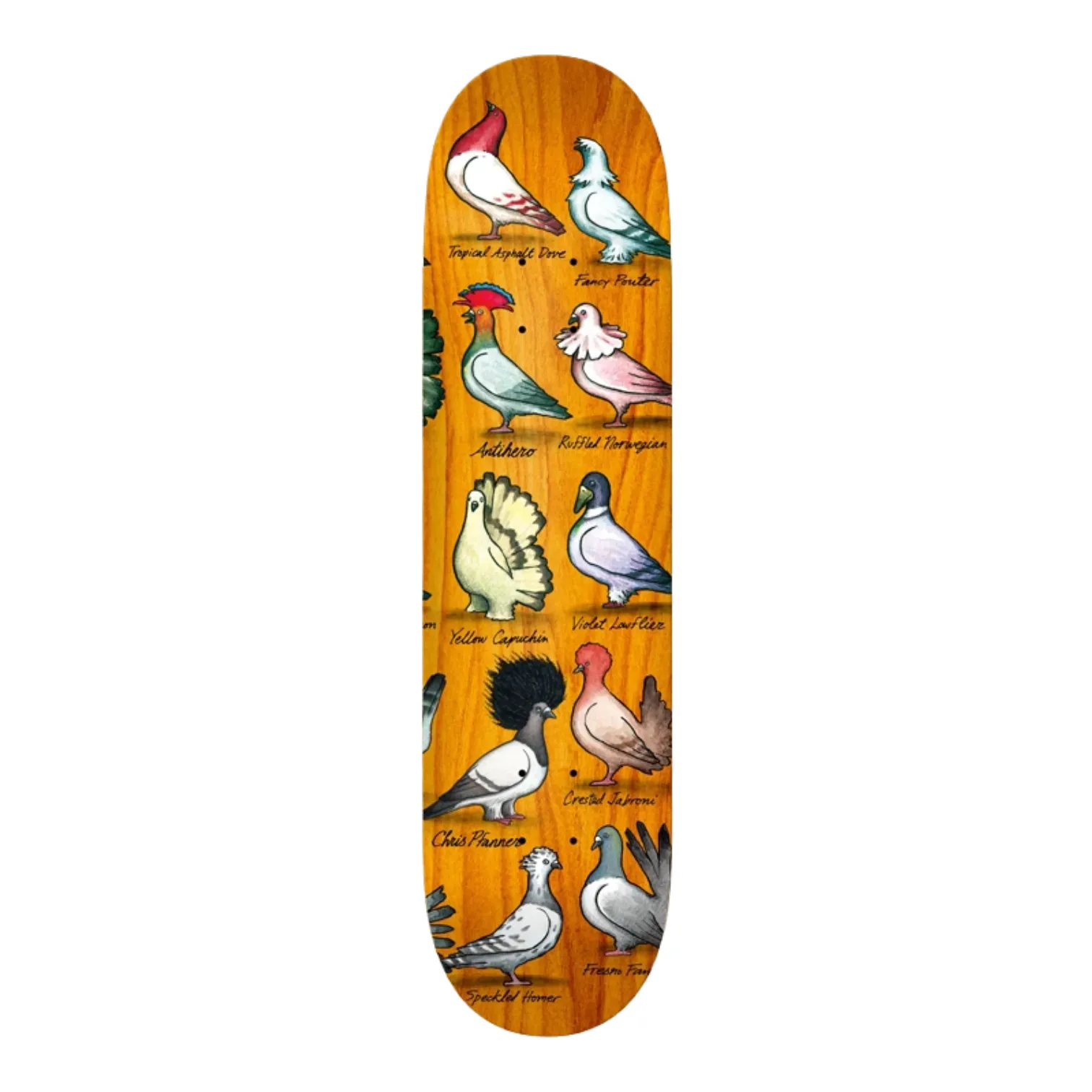 Anti Hero Pfanner Show Pigeons Deck 8.06" Assorted Stains