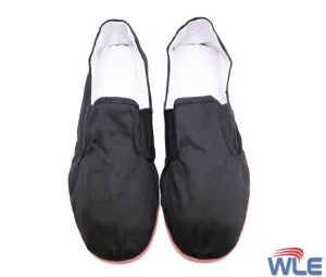 Kung Fu Shoes