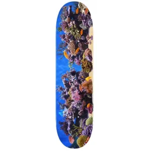 Mini Logo Skateboard Deck 18 Fish Tank 242 Multi Colour 8"